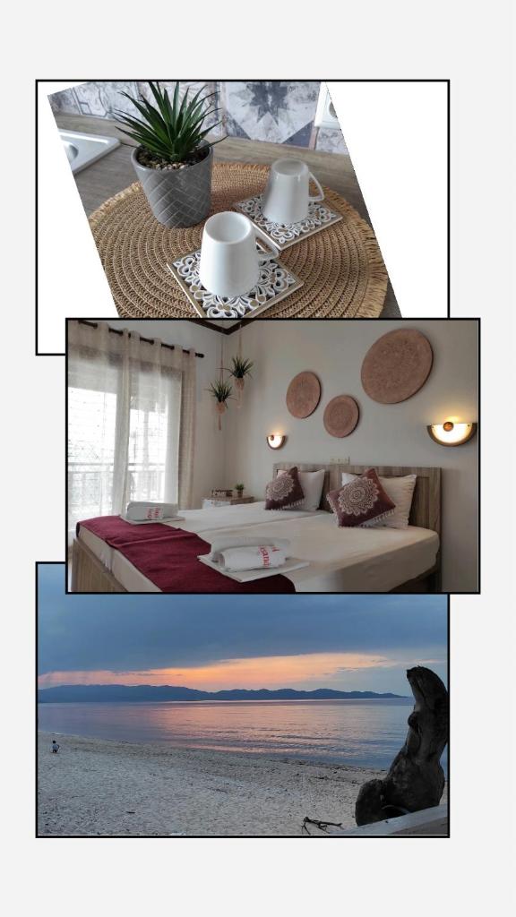 Hotel Alexandra photo 3