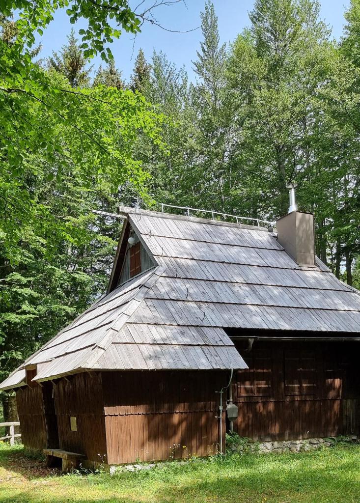 Koča Pastirica - Velika planina photo 1