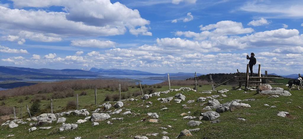 La Lobera photo 3