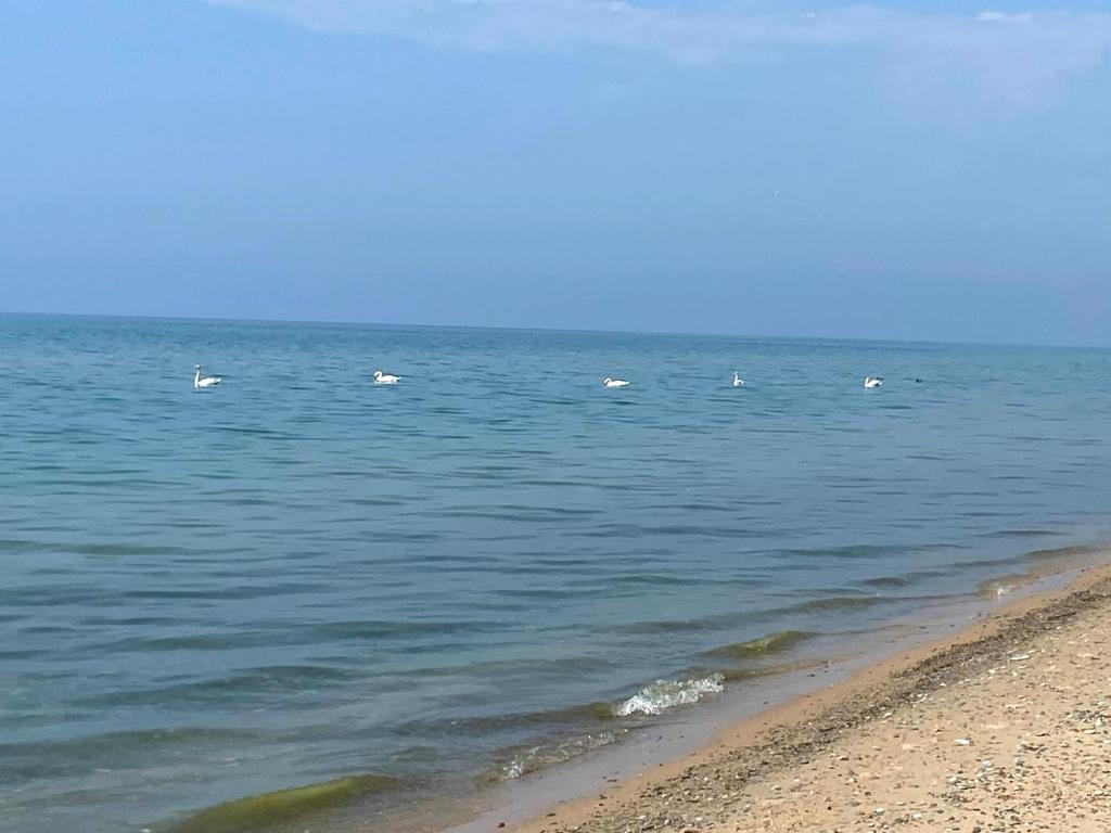 All the Waters Retro Home on Lake Michigan- Your Own PRIVATE BEACH photo 1
