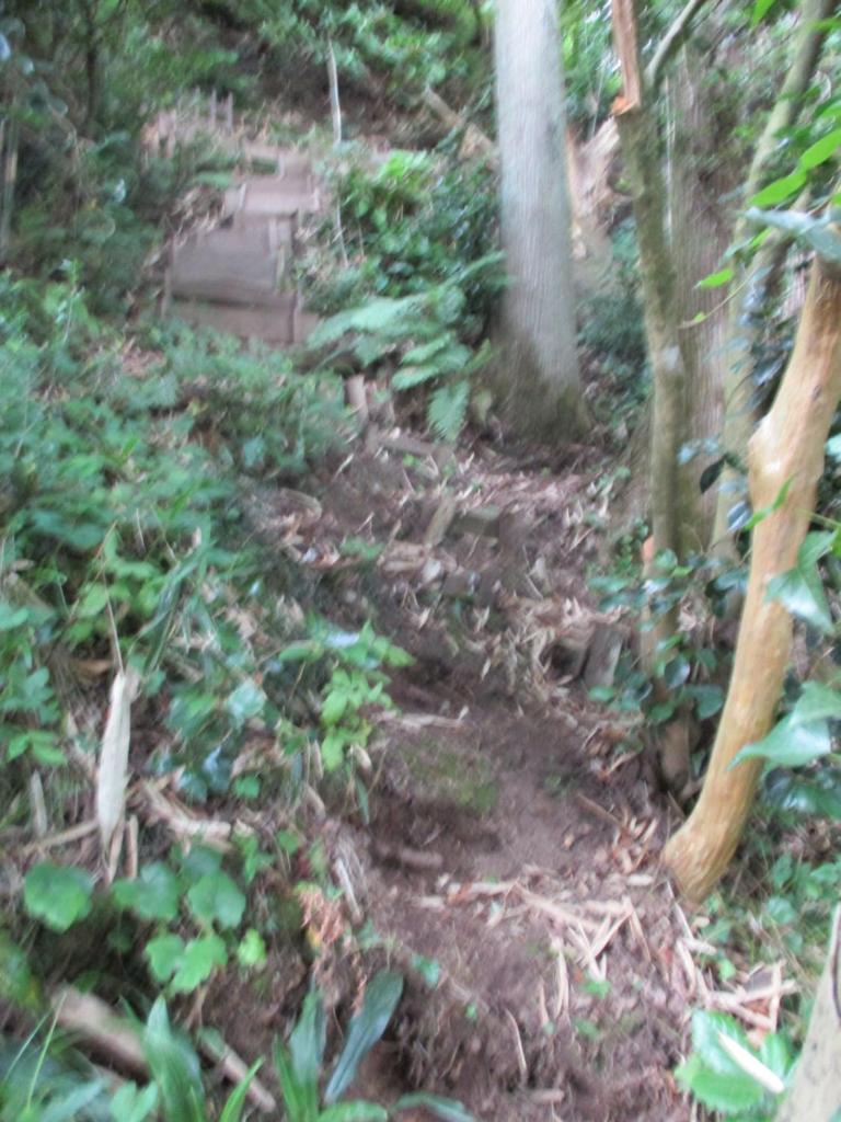 農家民宿 山いちご photo 3