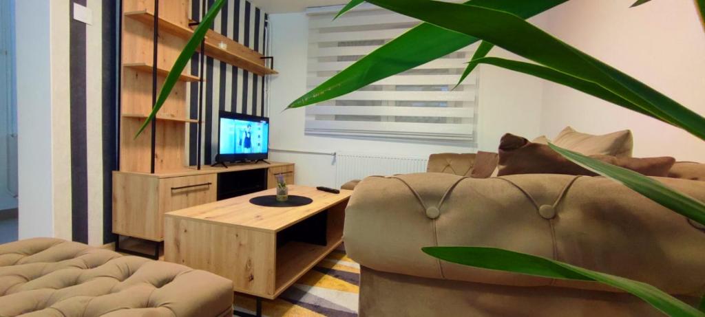 Apartman Green Garden Aranđelovac photo 2