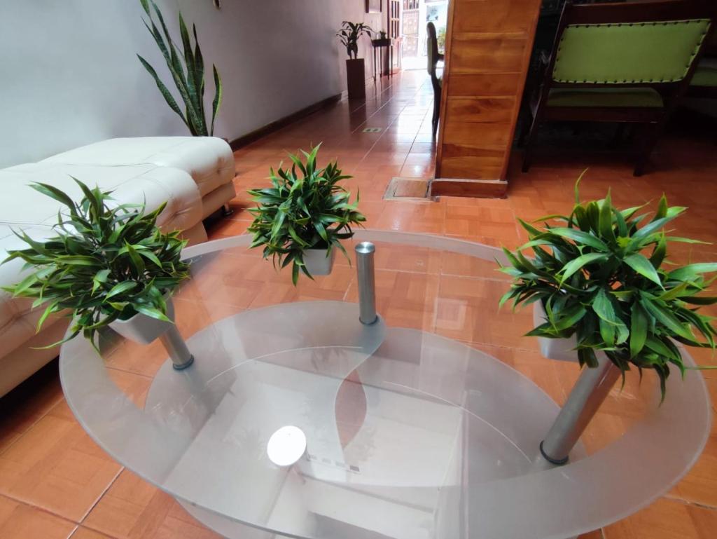 HOTEL SAN ADOLFO photo 2