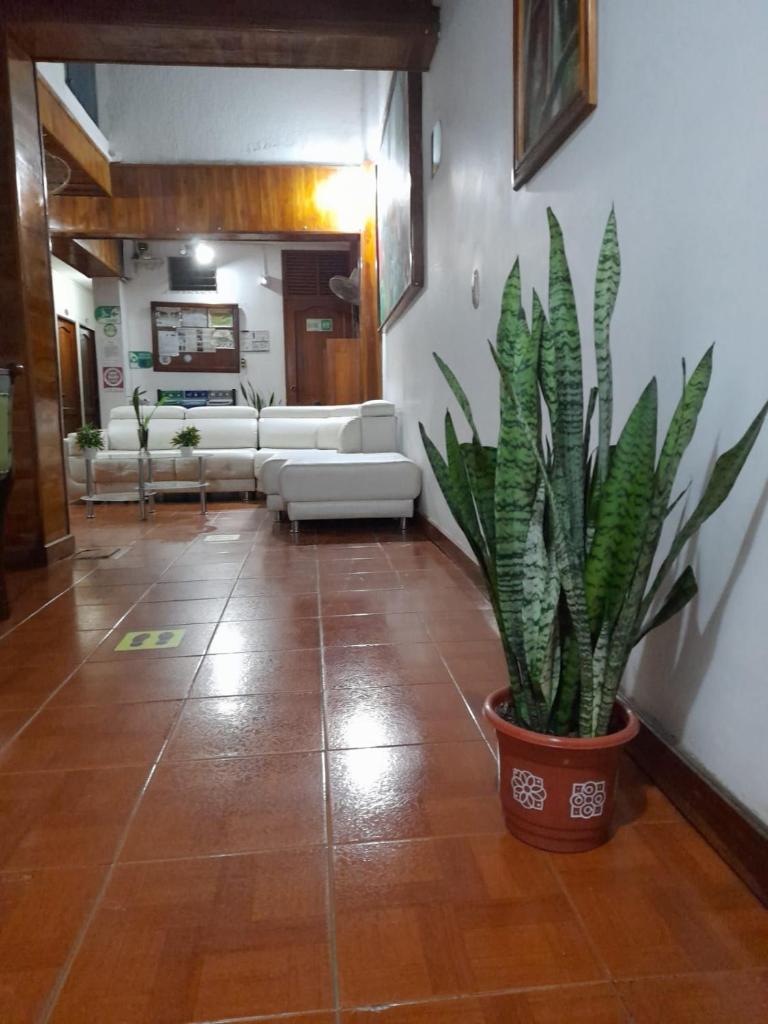 HOTEL SAN ADOLFO photo 4