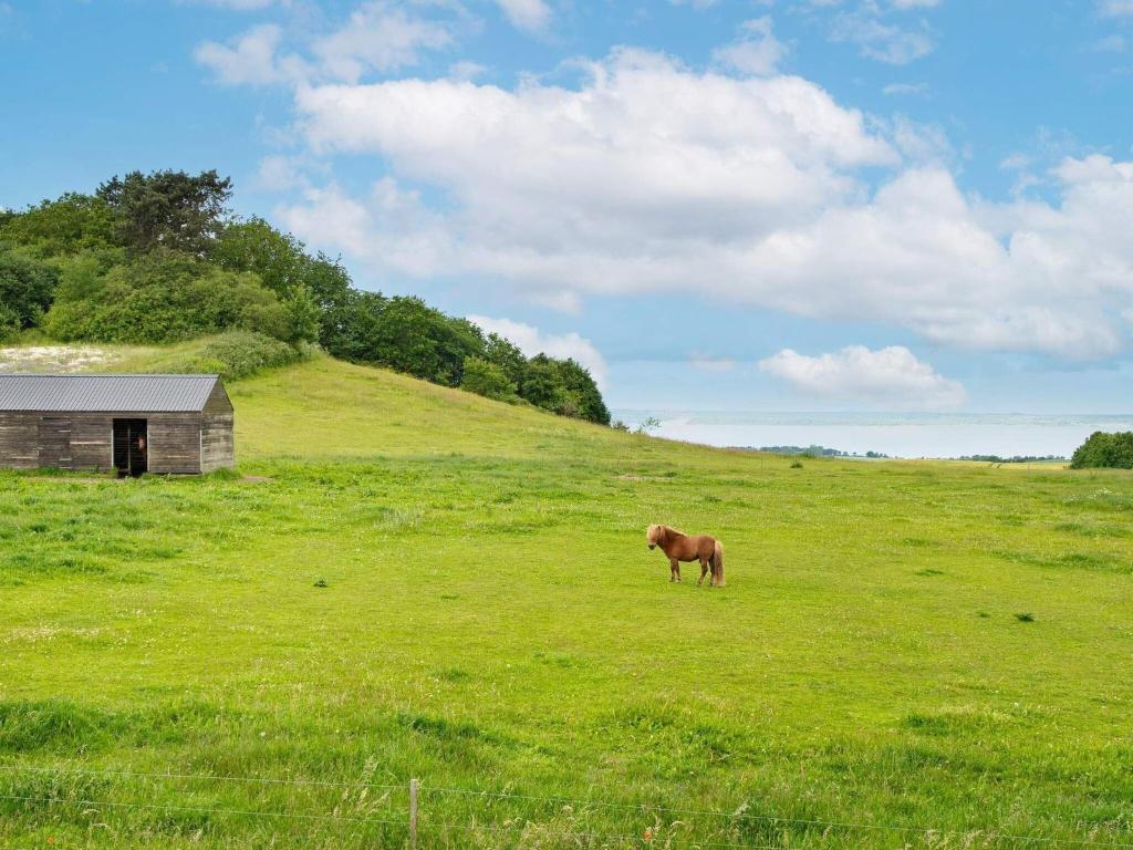 Holiday home Knebel XLIX photo 1