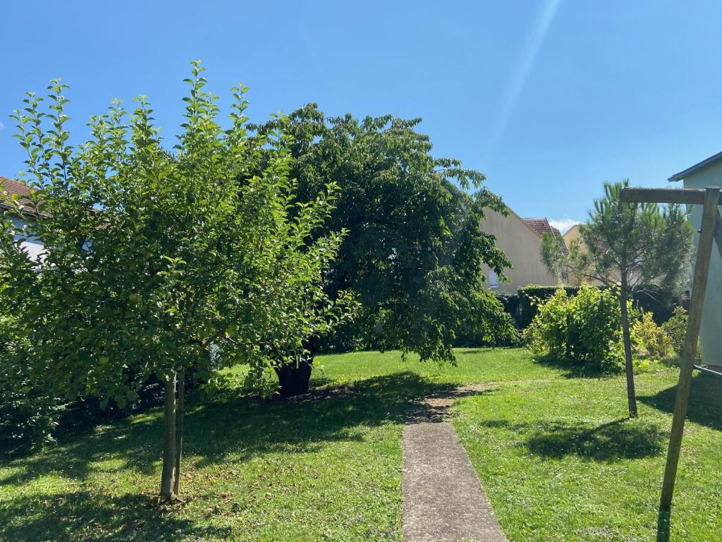 Magnifique villa à 5 minutes de Colmar photo 2
