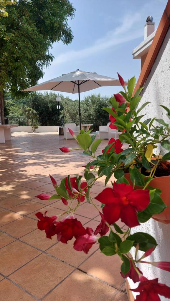 Tenuta dei Biondi Ulivi B&B photo 3
