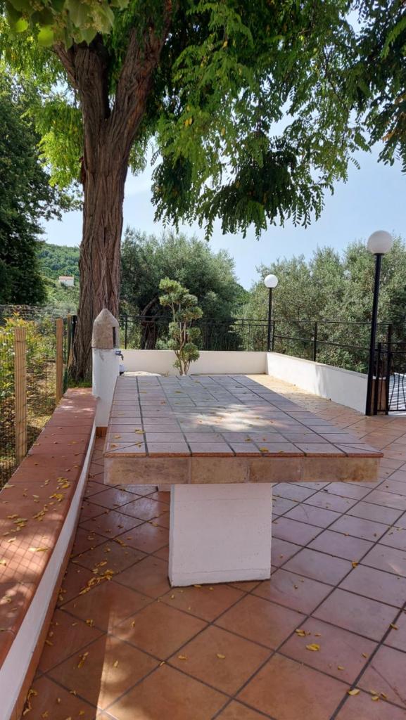 Tenuta dei Biondi Ulivi B&B photo 1