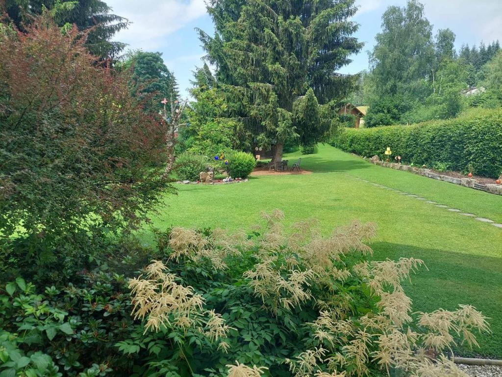 Pension Eichhorn photo 4