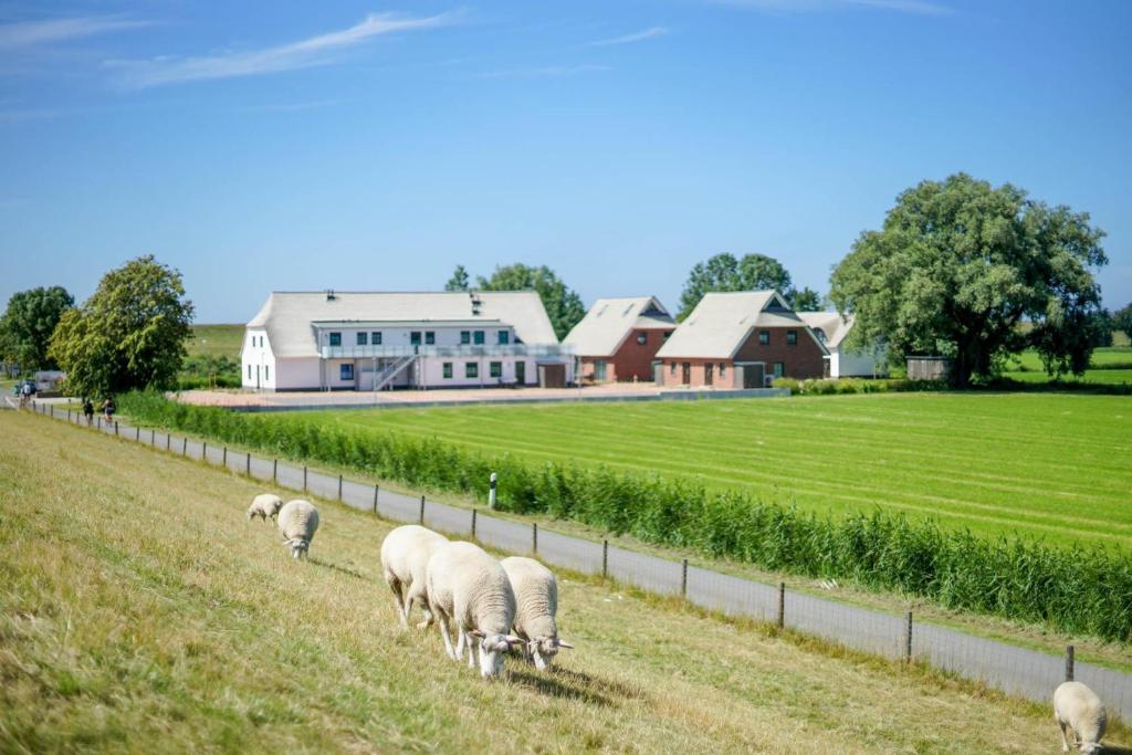 Ferienanlage "Gut Tossens" photo 4