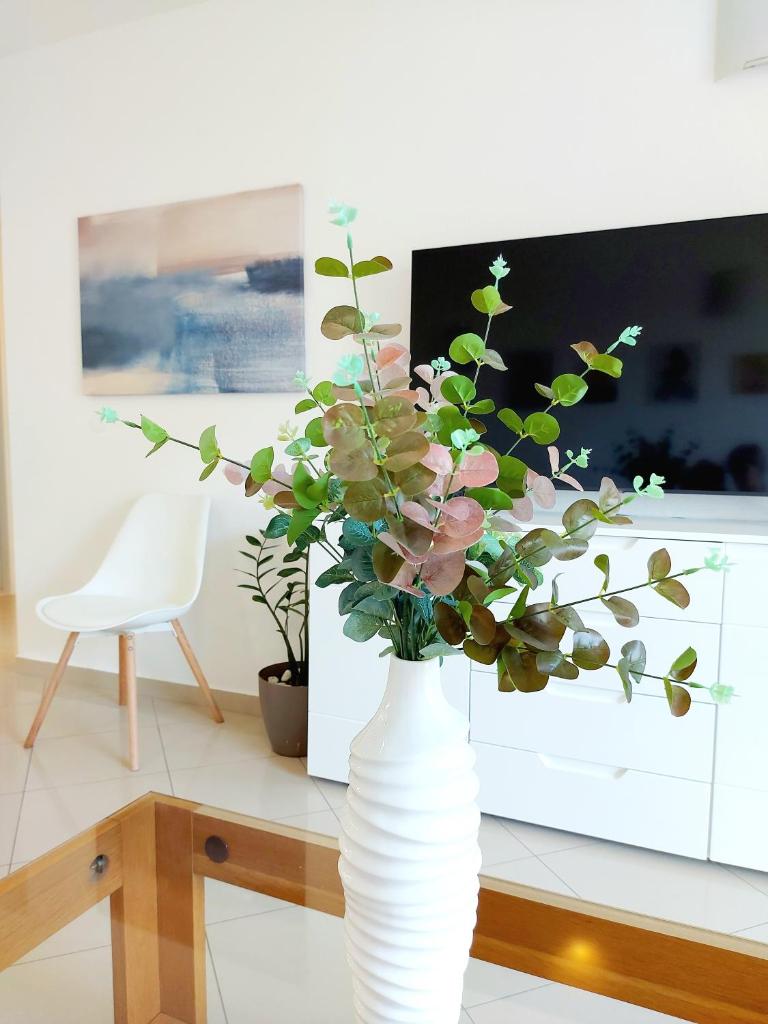 Apartman Anna photo 2