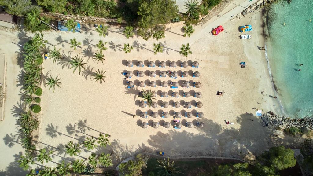 Occidental Cala Viñas photo 1