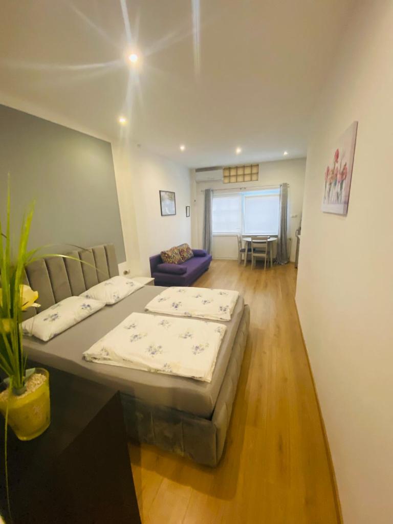Apartments Martic Janja photo 4