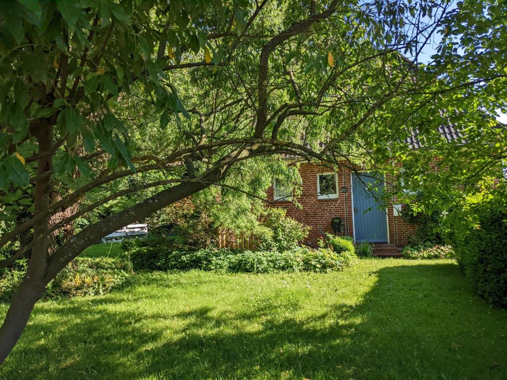 Charmantes Ferienhaus in Nordfriesland photo 4