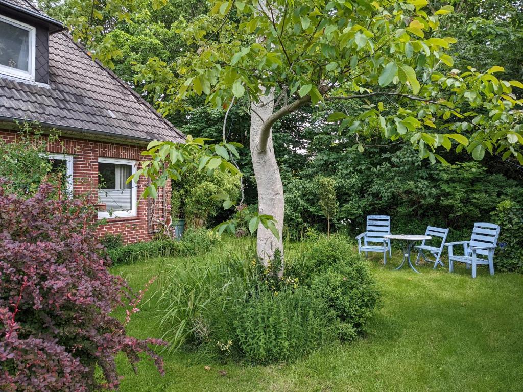 Charmantes Ferienhaus in Nordfriesland photo 3
