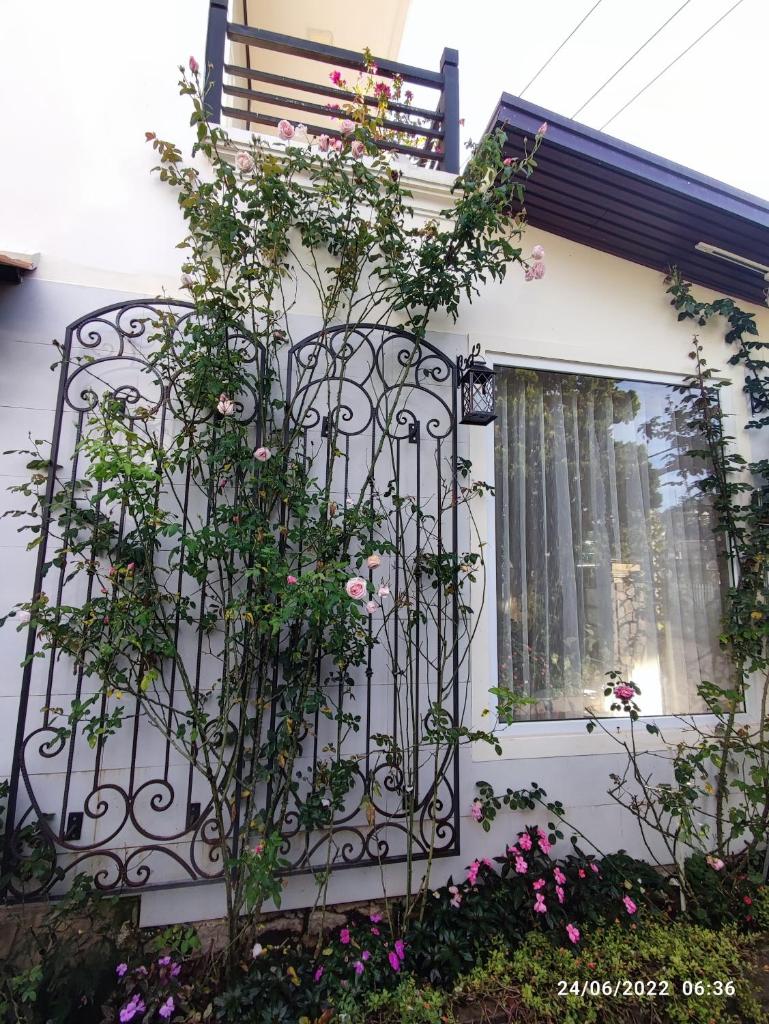 The 1954 House photo 3