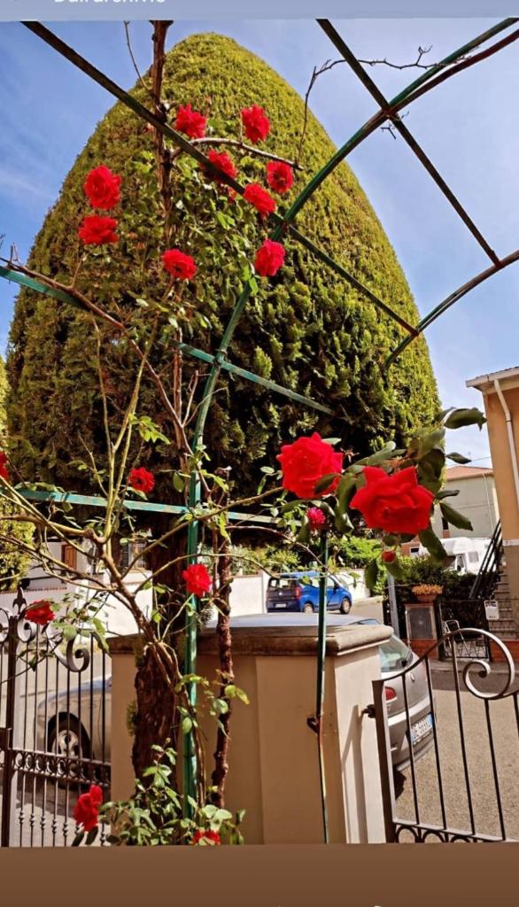Casa vacanza photo 1