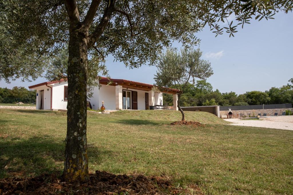 Casa Grazia photo 1
