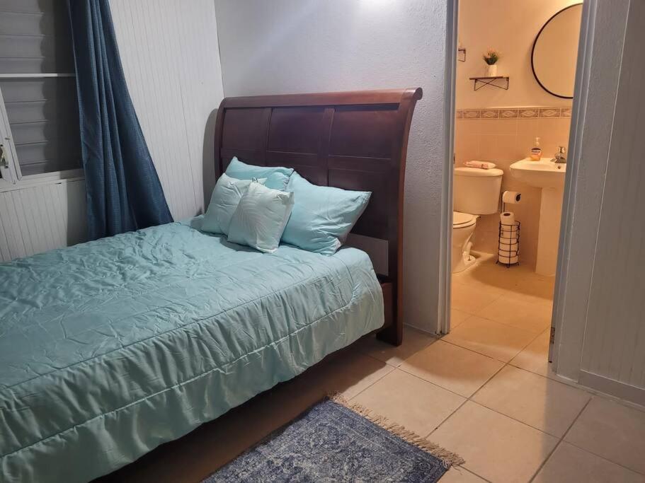 Villa zoe house near rincon photo 1