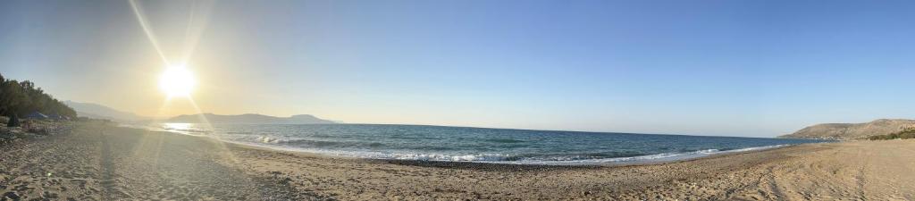 Olive Tree Farm 200m from the beach photo 4