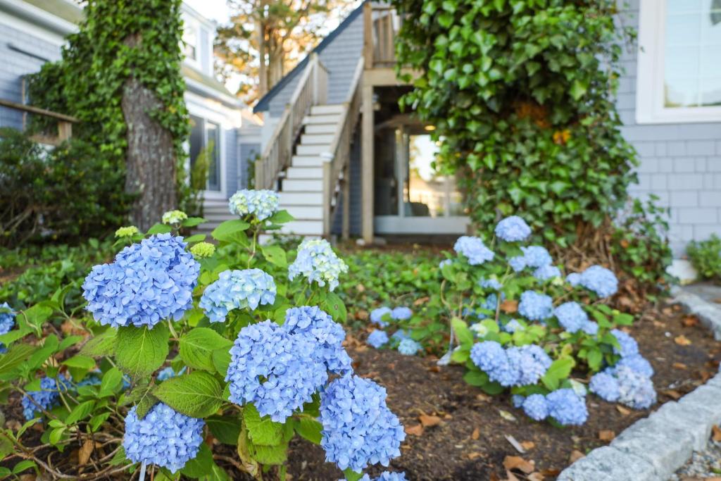 Allen Harbor Rentals photo 1