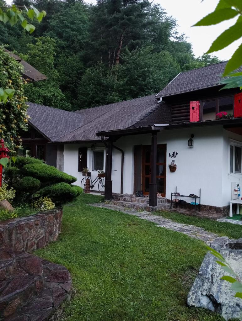 Grădina cu povești