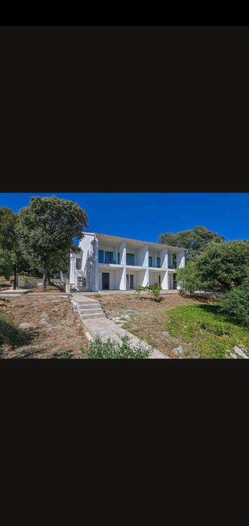 House on the beach photo 3