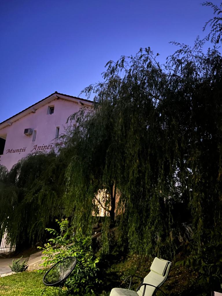Pensiune Muntii Aninei photo 4