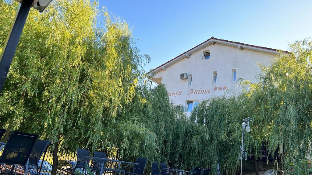 Pensiune Muntii Aninei photo 3