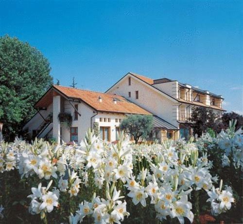 Ca' delle Rose photo 1