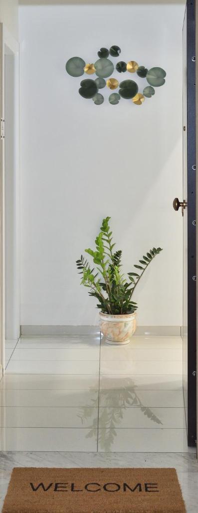 Serenis Luxury Apartments photo 2