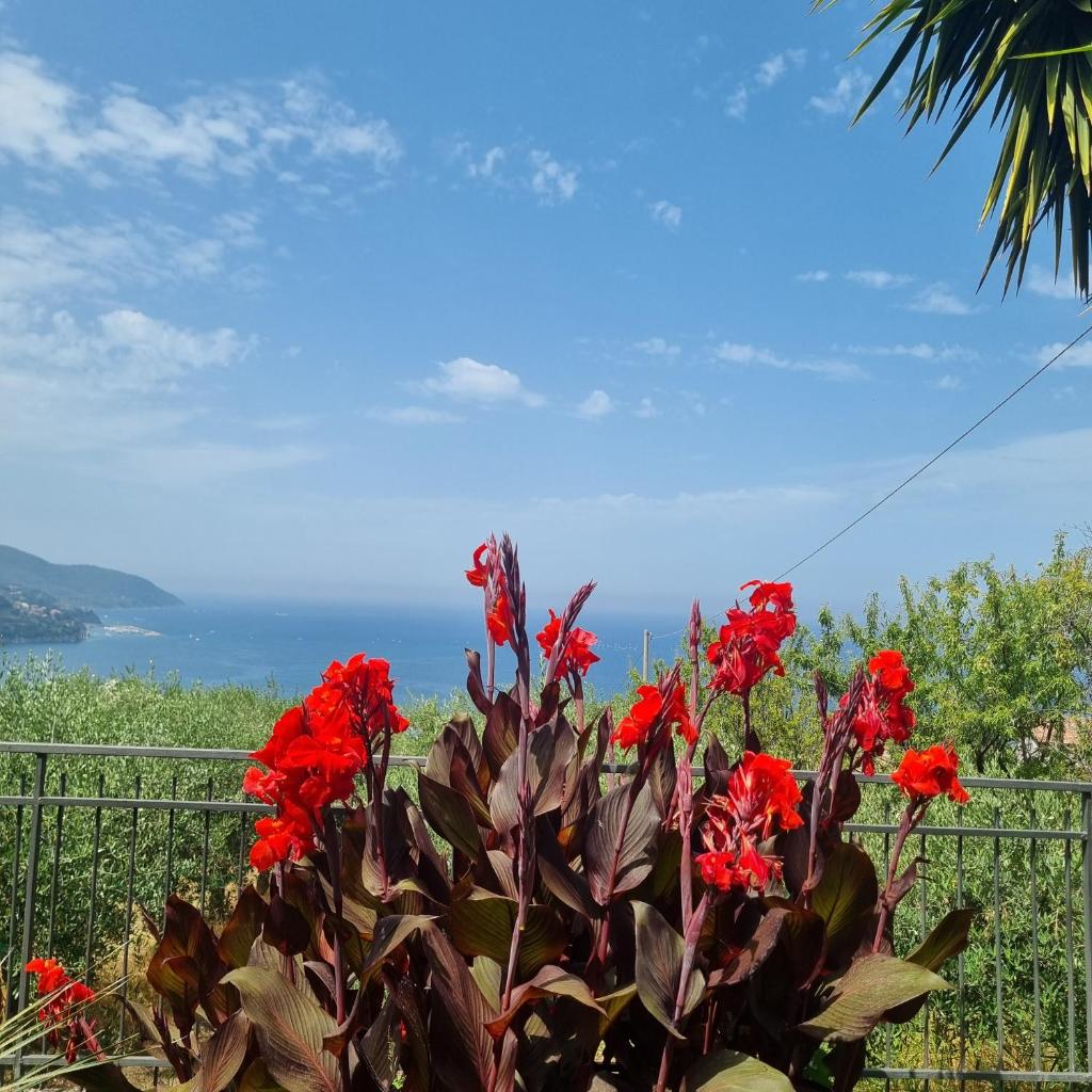 Qvattro stagioni panoramic suites photo 4