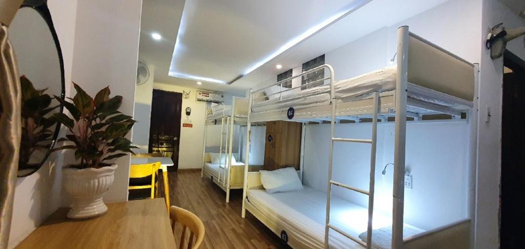 City Backpackers Hostel