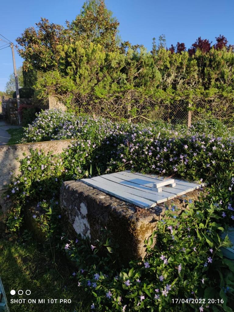 Casa A Canella photo 4