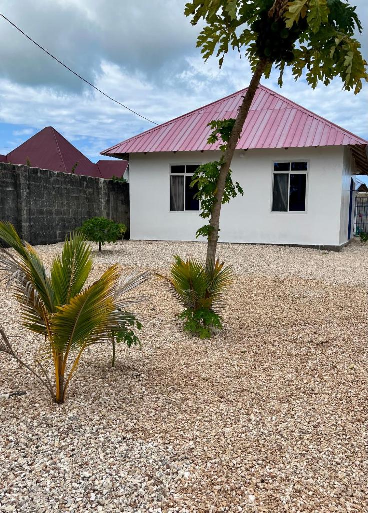 Amos House photo 2