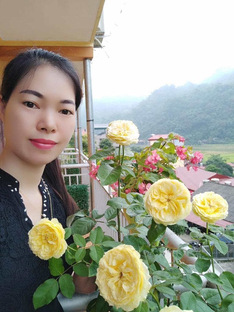 Hoang Nguyen Homestay Ba Be