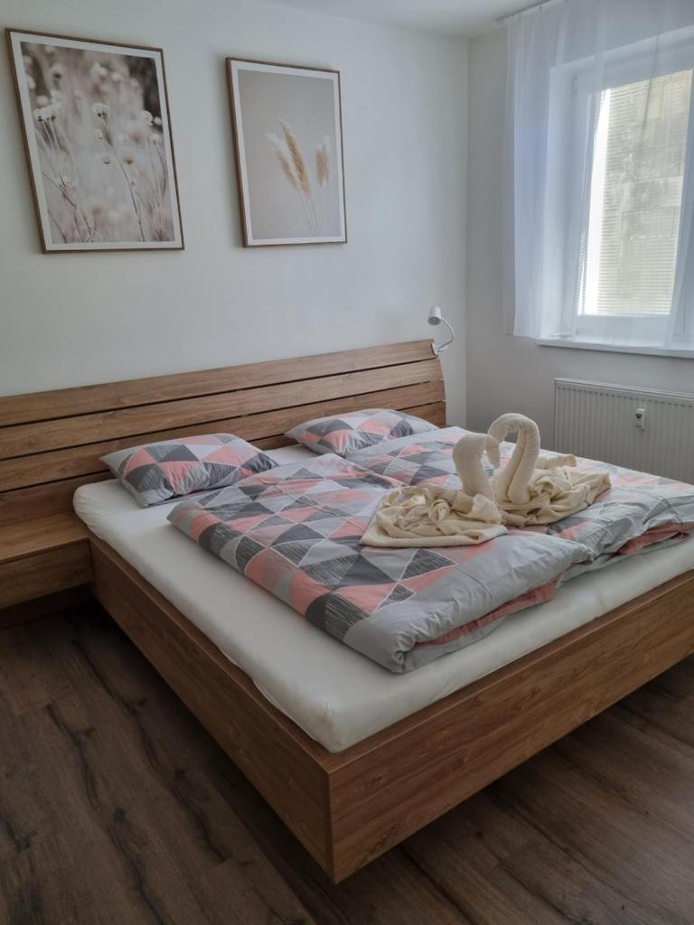 Nový Apartmán v areálu Wellness hotelu Frymburk photo 1