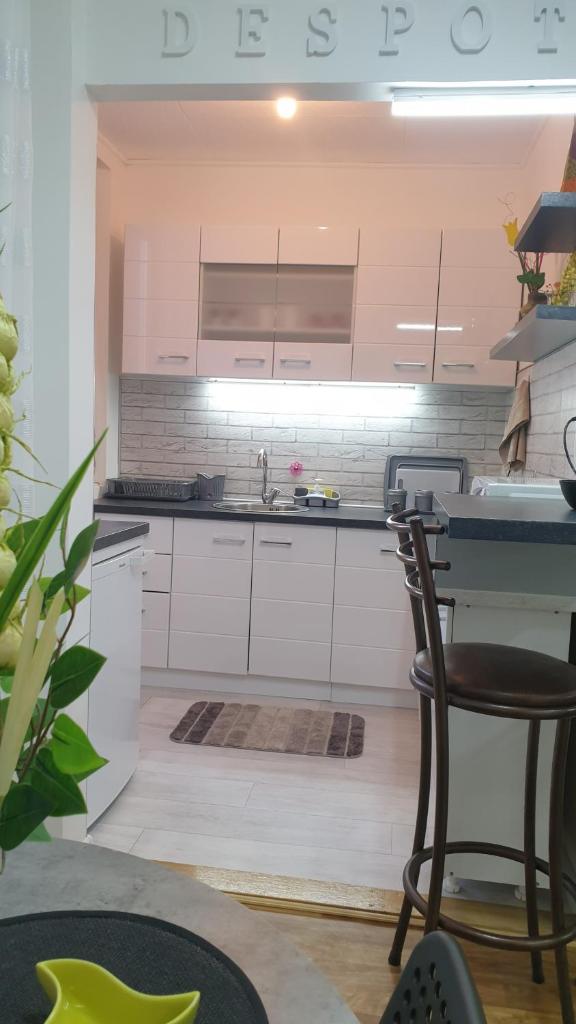 Despot Apartmani Niš photo 4