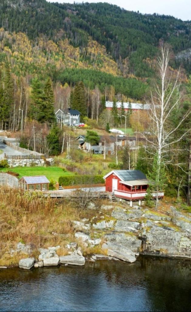 Holiday Raustua Cabin photo 2