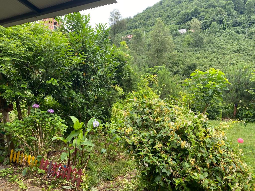 Doğa villa photo 3