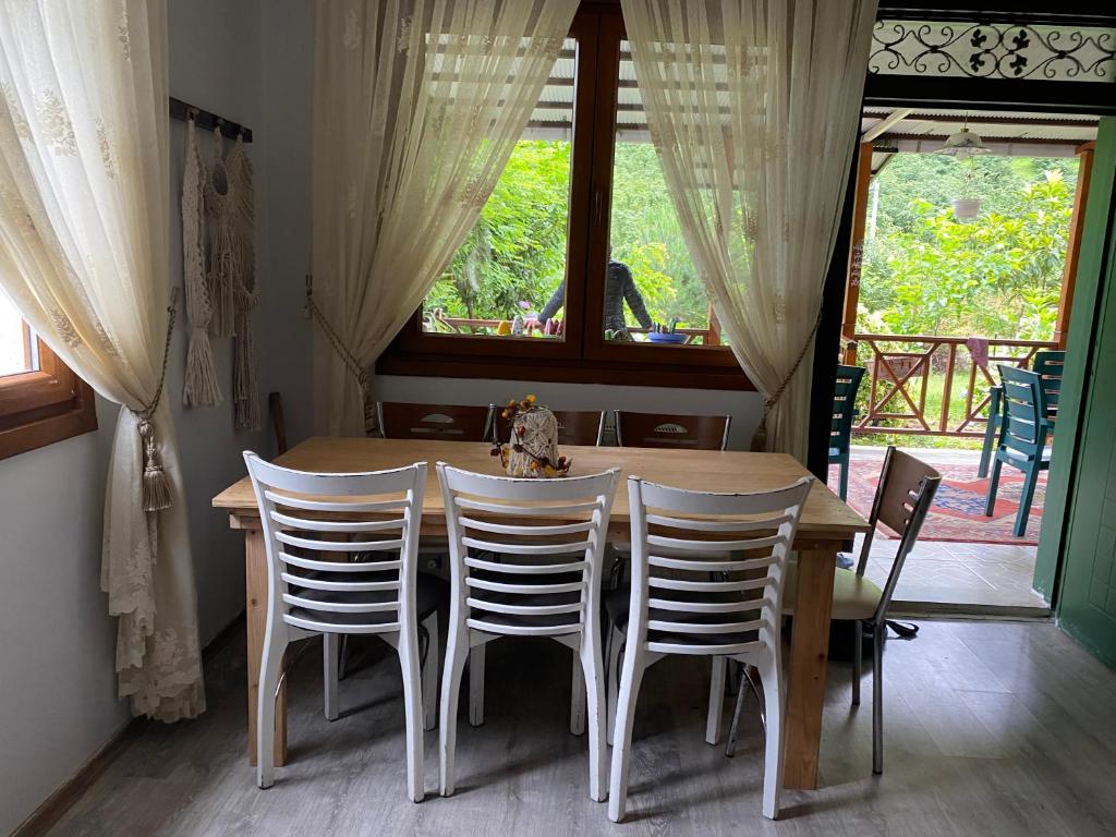 Doğa villa photo 4
