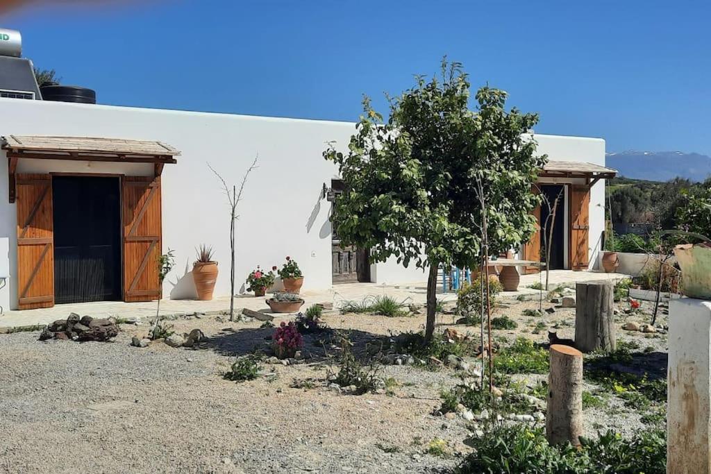 Villa Louloudia stylish luxury villa with private pool photo 2