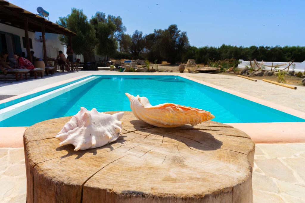 Villa Louloudia stylish luxury villa with private pool photo 1