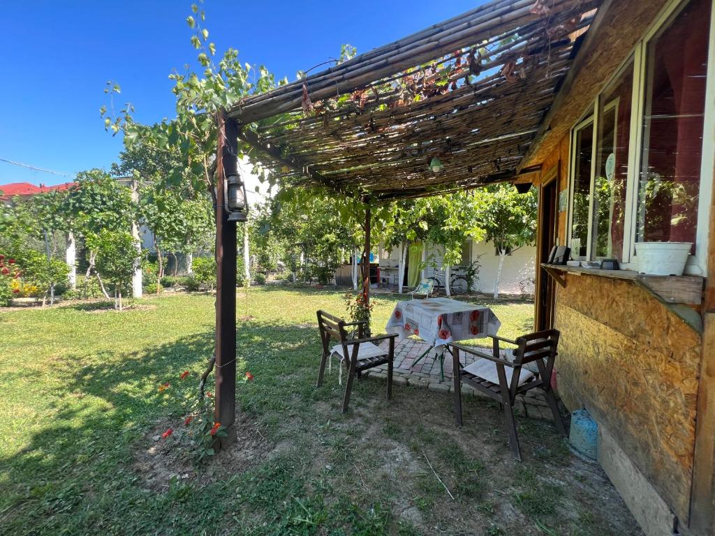 Elbasan Backpacker Hostel photo 3