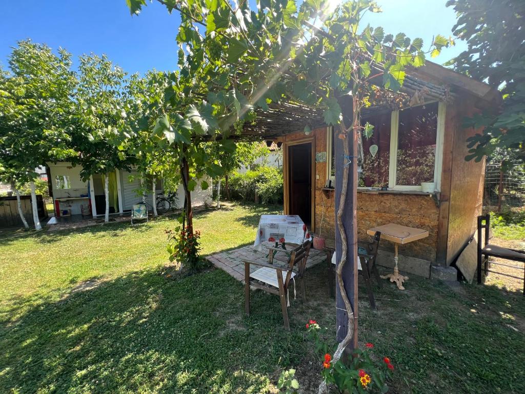 Elbasan Backpacker Hostel photo 1
