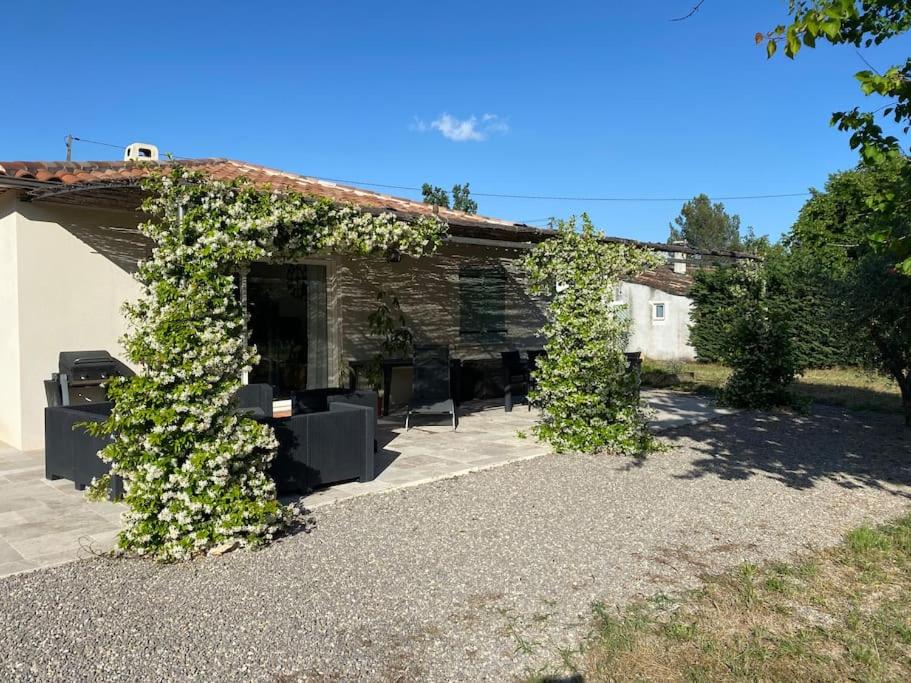 Maison de plain pied avec terrain de pétanque photo 3