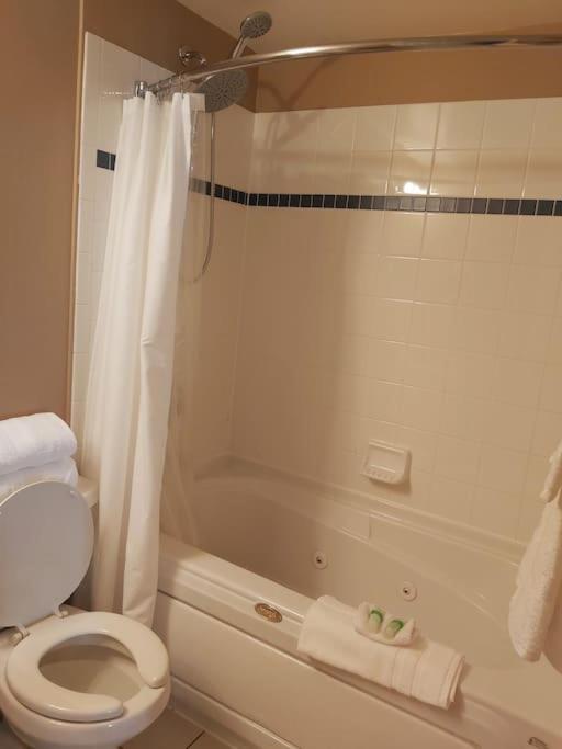 The Perfect Staycation - Blue Mountain Studio photo 4