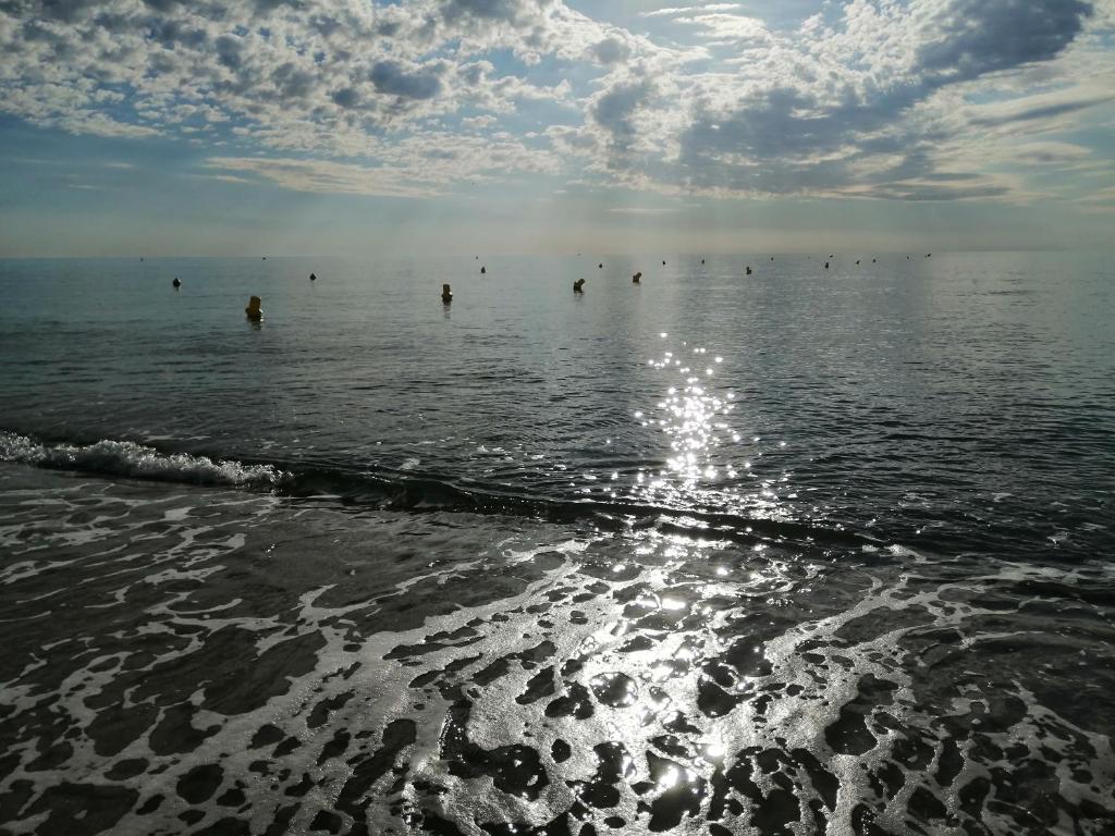 Palm Beach photo 2