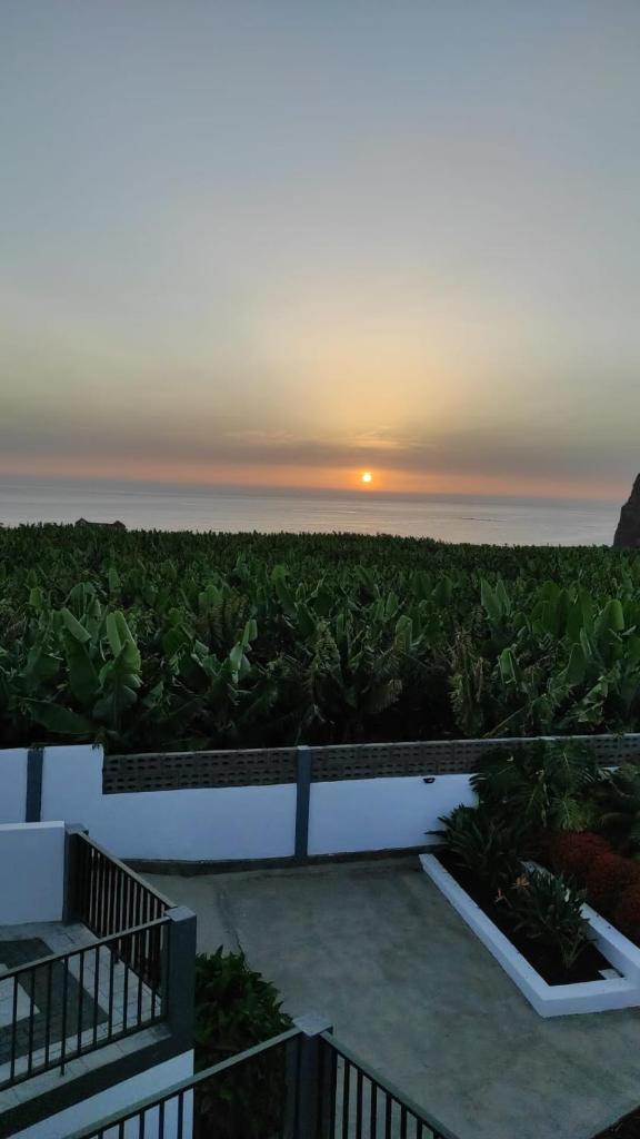 Villa Kabanita photo 4