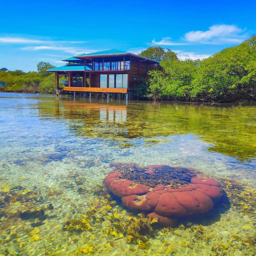 Bahia Coral Lodge photo 1